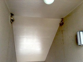 img_154.jpg